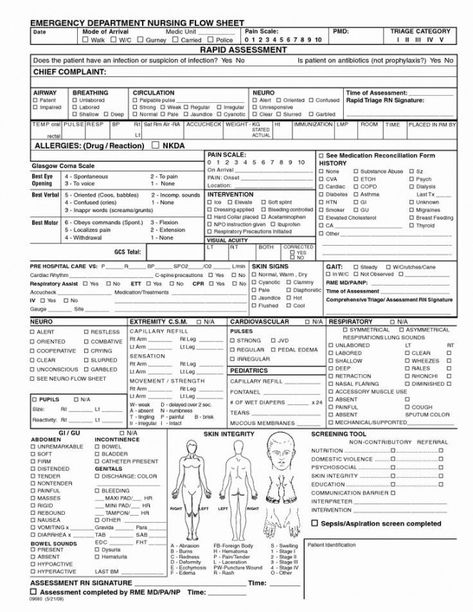 Costum Nursing Head To Toe Assessment Template Doc Sample Nursing Respiratory Assessment, Nurse Practitioner Charting, Full Body Assessment Nursing, Nursing Assessment Cheat Sheet, Nurse Cheat Sheets, Nursing Documentation, Assessment Checklist, Nurse Report Sheet, Nursing Information