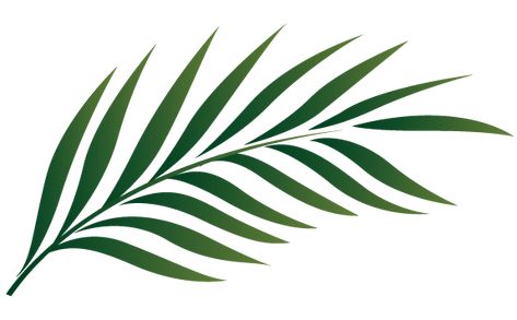 Palm Branch Image Free Cliparts That You Can Download To You Beaded Patches, Palm Branch, Leaf Outline, Leaf Silhouette, Palm Tree Leaves, Leaf Clipart, Paper Leaves, Leaf Crafts, Palm Sunday