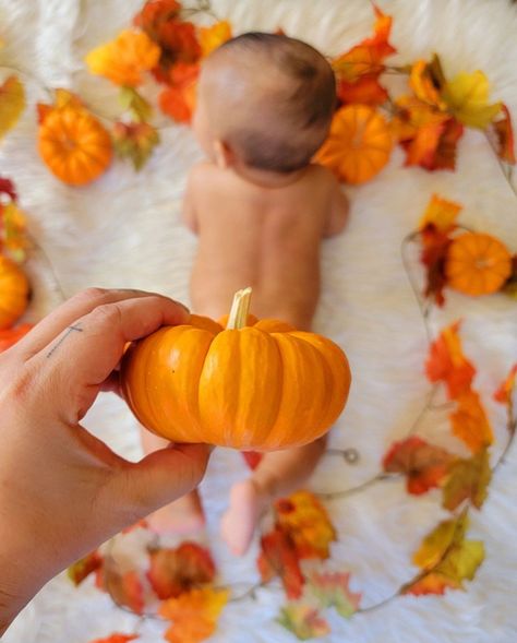 Fall Baby Picture Ideas, Halloween Baby Pictures, Fall Baby Photos, Disfarces Halloween, Baby Picture Ideas, Baby Holiday Photos, Fall Baby Pictures, Foto Kids, Photo Halloween