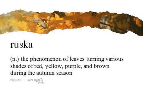 Ruska (Finnish word) Finnish Words, Finnish Lapland, Uncommon Words, Fancy Words, Word Nerd, Unusual Words, Rare Words, Word Definitions, Autumn Colours