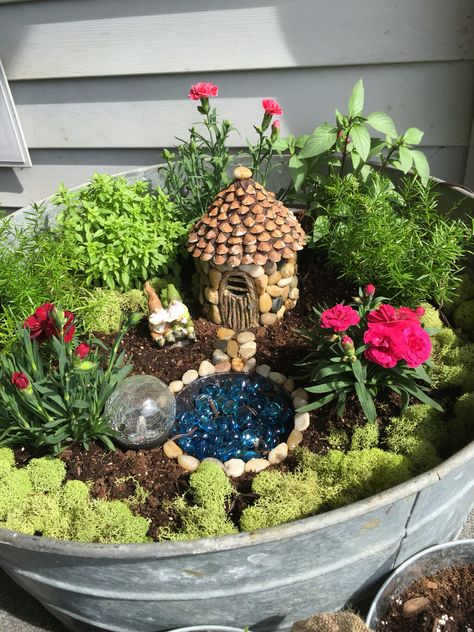 Fairy garden with LED solar lights Building Fairy Garden, Fairy Dish Garden Ideas, Fairy Garden With Succulents, Cactus Fairy Garden, Small Fairy Garden Ideas, Mini Fairy Garden Ideas, Fairy Garden Container Ideas, Fairy Garden In A Pot, Flower Pot Fairy Garden