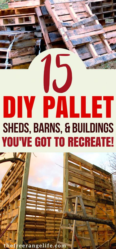 Pallet Sheds, Pallet Building, Pallet Shed, Homesteading Diy, Pallet House, Used Pallets, Shed Building Plans, Barn Garage, Diy Shed Plans