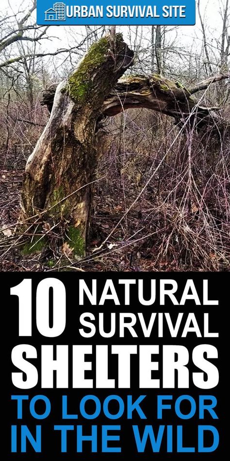 10 Natural Survival Shelters To Look For In The Wild List Of Priorities, Wilderness Survival Shelter, Survival Skills Emergency Preparedness, Supraviețuire Camping, Off Grid Survival, Bushcraft Shelter, Survival Skills Life Hacks, Survival Quotes, Survival Life Hacks