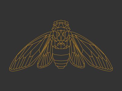 Brian Steely-style Cicada Warmup Art Nouveau Cicada, Cicada Line Art, Cicada Vector, Cicada Drawing, Cicada Illustration, Cicada Art, Cicada Tattoo, Black Insects, Lino Art