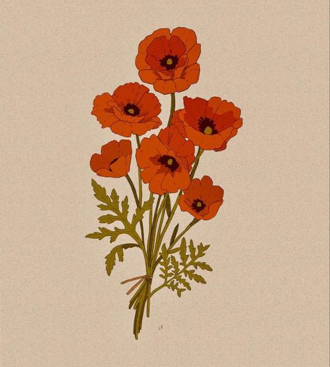 Poppy Bouquet, Poppy Drawing, 캐릭터 드로잉, Illustration Vintage, Flower Illustration, Poppy Flower, Red Poppies, Botanical Illustration, Maple Leaf Tattoo