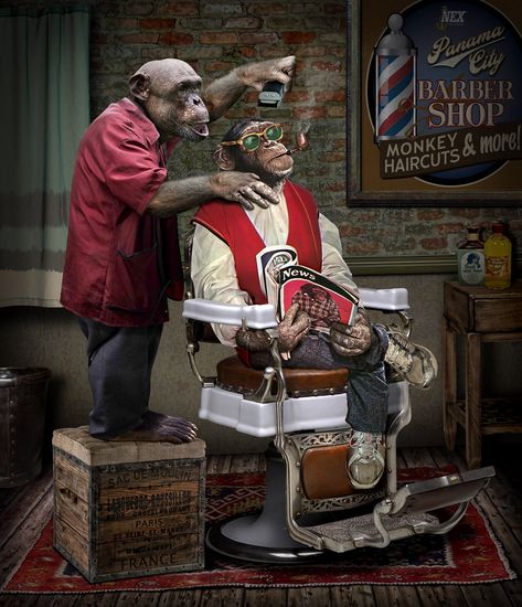 Monkey Cuts by funkwood on DeviantArt Barber Shop Pictures, Barber Poster, Barber Shop Vintage, Barber Shop Haircuts, Barber Shop Interior, Barber Haircuts, Barber Tattoo, Barber Man, Barber Logo