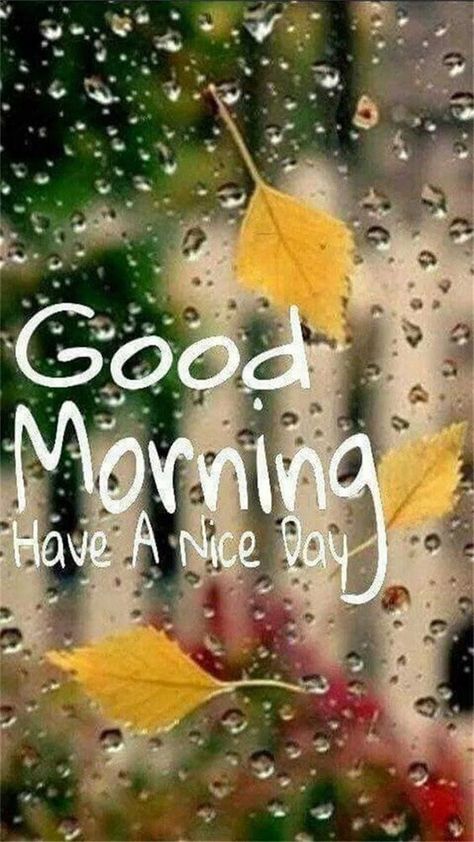 Rainy Morning Quotes, Rainy Good Morning, Good Morning Rainy Day, Rainy Day Quotes, Good Morning For Him, Funny Good Morning Images, Funny Good Morning, Good Morning Motivation, Good Morning Quotes For Him