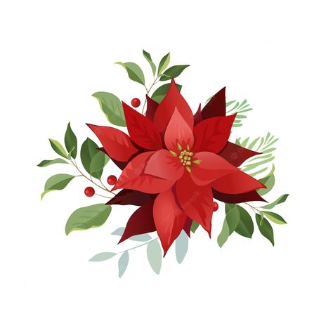 Poinsettia Flowers, Red Poinsettia, Illustration Noel, Christmas Doodles, Vector Christmas, 카드 디자인, Watercolor Christmas Cards, Poinsettia Flower, Christmas Poinsettia