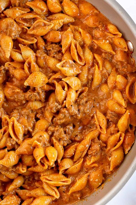 Tender shell pasta in a meaty, deliciously seasoned tomato cream sauce. Creamy Beef and Shells is an incredibly comforting skillet pasta recipe that is ready in 30 minutes, start to finish! #pasta #30minutemeal #easydinner #groundbeefrecipes #groundbeef Small Shell Pasta Recipes, Skillet Pasta Recipes, Creole Pasta, Macaroni And Tomatoes, Creamy Beef And Shells, Beef And Shells, Shell Pasta Recipes, Shell Pasta, Red Pasta