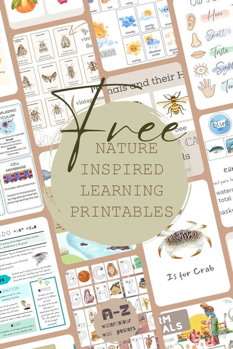 to help children learn about the natural world, including plants, animals, and the #Montessori #Preschool_Homeschool_Free_Printable #Free_Nature_Journal_Printables #Homeschool_Templates_Free_Printables Homeschool Templates Free Printables, Preschool Learning Activities Outdoors, Printables For Preschoolers Free, Homeschool Preschool Free Printables, Nature Alphabet Letters Printable Free, Nature Based Homeschooling, First Grade Homeschool Curriculum Free Printable, Preschool Homeschool Units, Free Homeschooling Resources