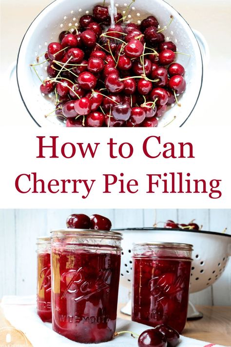 Homemade cherry pie filling is delicious and easy, perfect in pies, cobblers, on top of cheesecakes, ice cream, swirled into yogurt or oatmeal. Make this with fresh or frozen cherries for a treat all-year-round! #piefilling #dessertrecipes #cherries Urban Farmstead, Fruit Harvesting, Homemade Cherry Pie Filling, Canned Recipes, Canning Garden, Canning Instructions, Summer Canning, Dehydrating Recipes, Canning Water