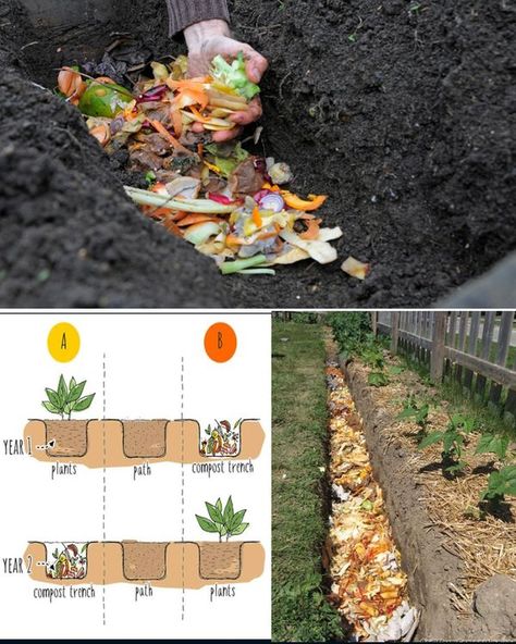 Composting Methods, Frame House, A Frame House, Composting, Permaculture, The First, Frame, Plants