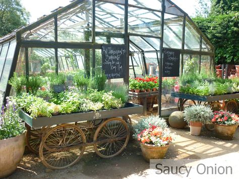 Greenhouse Venue, Greenhouse Cafe, Garden Center Displays, Petersham Nurseries, Restaurant London, Harvest Farm, Greenhouse Interiors, Outdoor Cafe, Garden Cafe