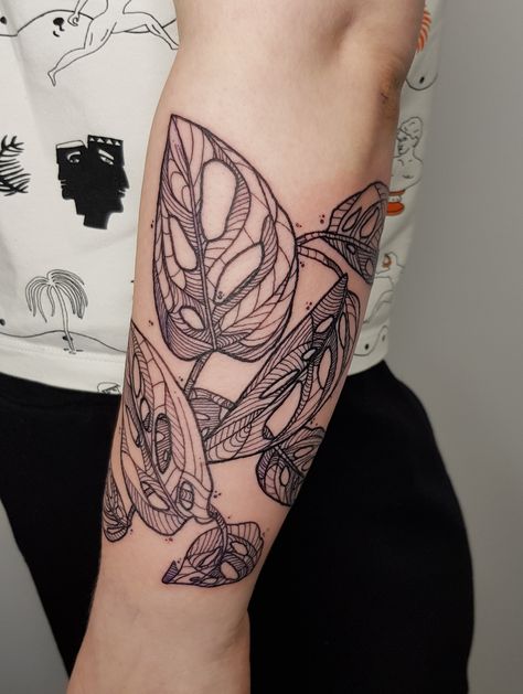 Monstera Adansonii Drawing, Black And Grey Plant Tattoo, Adansonii Tattoo, Houseplant Tattoo Sleeve, Monstera Adansonii Tattoo, Swiss Cheese Plant Tattoo, Monstera Tattoos Leaves, Monstera Tattoo Sleeve, Philodendron Tattoo