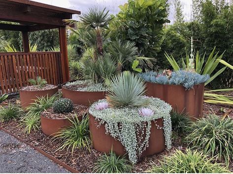 Metal Garden Edging, Australian Garden Design, Rusty Garden, Australian Native Garden, Front Garden Design, Australian Garden, Native Garden, Backyard Garden Design, Garden Edging