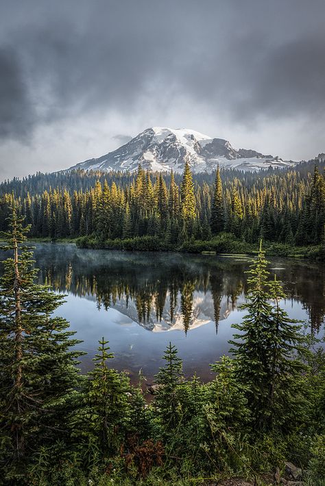 Mountain in the Mist Mt Rainer, Mount Rainier National Park, Mt Rainier, Rainier National Park, Beautiful Places In The World, Washington State, Most Beautiful Places, Mount Rainier, Amazing Nature