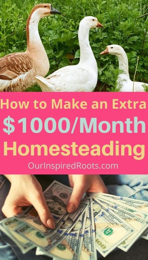 Want to have your homestead pay for itself? Most of these ideas for making money from the homestead work for any size homestead (even an apartment!), so check them out and find one or a few you can try today to increase your income. #makemoney #homesteading Modern Homestead, Modern Homesteading, Homesteading Ideas, Homegrown Food, Homestead Ideas, Ways To Make Extra Money, Homestead Gardens, Homesteading Skills, Urban Homesteading