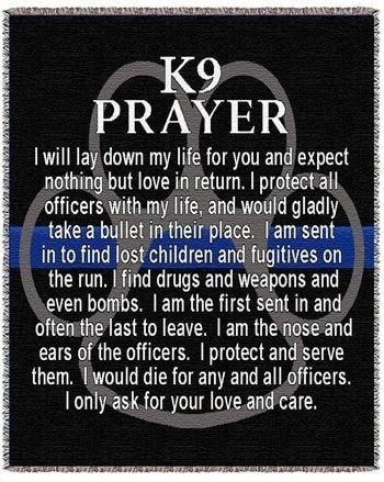 K9 Police Dogs, Police Quotes, K9 Police, Police Lives Matter, Dog Hero, Police Life, Police K9, Police Dog, Police Wife