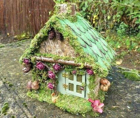 Fairy Garden Tools, Casa Hobbit, Nite Lights, Flower Colour, Artificial Leaves, Fairy Garden Designs, Fairy Accessories, Mouse House, Fairy Furniture