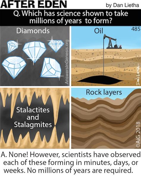 After Eden 485: Think Fast! Bible Science, Rock Layers, Answers In Genesis, Creation Science, The Garden Of Eden, Cool Science Facts, Homeschool Education, Think Fast, Bible Facts