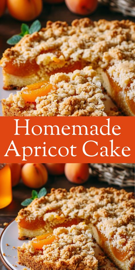 Bake a delightful homemade apricot cake with fresh apricots and a hint of cinnamon. Apricot Baked Oatmeal, Desserts With Apricots, Easy Apricot Dessert Recipes, What To Make With Apricots, Frozen Apricot Recipes Desserts, Apricot Bread Recipe With Fresh Apricots, Canned Apricot Recipes Desserts, Fresh Apricot Recipes Desserts, Apricot Recipes Dessert