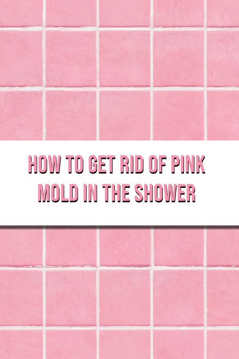 How to Get Rid of Pink Mold in the Shower - The Maids Don’t ignore pink mold in your bathroom! Although not as harmful as black mold, it is still a bacteria that can cause health risks. Here are our tips for safely removing that pesky pink mold. Pink Mold Removal, Pink Mold In Shower Bathroom, Shower Mold Remover Diy, Remove Mold From Shower, Clean Shower Grout, Pink Mold, Best Grout Cleaner, Best Shower Cleaner, Bathroom Caulk