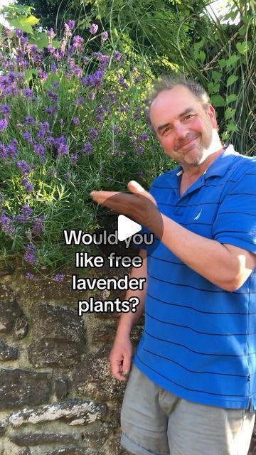 Simon Akeroyd on Instagram: "You need patience to take lavender cuttings.  But they are easy to grow 😊💙#freeplants #propagation #lavendercuttings #gardeningtips" Lavender Propagation, Lavender Landscaping, Lavender Garden Ideas, Propagating Lavender, Lavender Cuttings, Propagate Lavender, Flower Planting Guide, How To Propagate Lavender, Outdoor Design Ideas