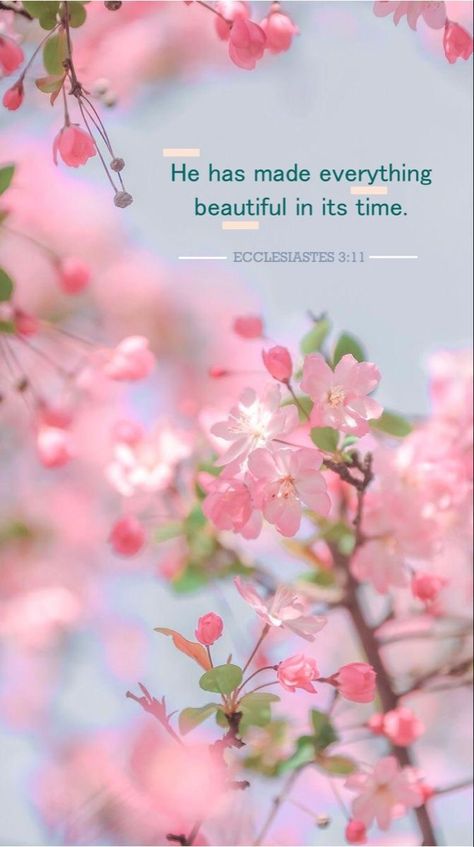 Ecclesiastes 3 11 Wallpaper, Spring Bible Verses, Jesus Verses, Biblical Women, Hope Bible Verses, Ecclesiastes 3 11, Floral Bible Verse, Ecclesiastes 3, Christian Quotes Wallpaper