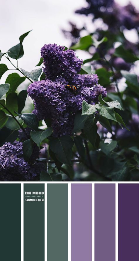 Blue , green and orange color scheme – Color Palette #57 1 - Fab Mood | Wedding Colours, Wedding Themes, Wedding colour palettes Pantone Verde, Wedding Colour Palettes, Fab Mood, Mood Wedding, Purple Color Combinations, Purple And Green Wedding, Purple Color Schemes, Wedding Colors Purple, Purple Color Palettes