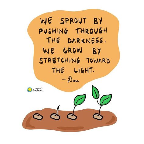 The Round Elephant theroundelephant quote motivation inspiration light seed sprout grow growth Seed Sayings Quotes, Planted Seed Quotes, Seed Quotes Life, Seeds Quotes Inspiration, Growth Quotes Plants, Planting Quotes Life Inspiration, Plant Growing Quotes Life, Planting A Seed Quote, Plant Motivational Quotes