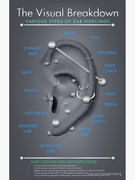 Ear Piercings Names, Ear Piercings Placement Chart, All Ear Piercings, Ear Piercing Names, Different Types Of Piercings, Infographic Chart, Ear Piercings Chart, Piercing Chart, Types Of Ear Piercings