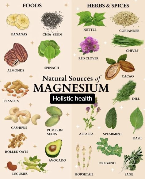 Sources Of Magnesium, Magnesium Foods, Foods High In Magnesium, Magnesium Rich Foods, Herbal Healing, Herbs For Health, Holistic Nutrition, Healing Herbs, Herbal Medicine