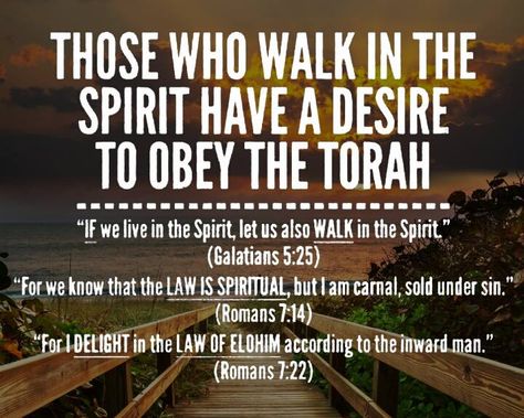 Galatians 5:25; Romans 7:14, 22 Messianic Judaism, Torah Study, Walk In The Spirit, The Torah, Happy Sabbath, Learn Hebrew, True Faith, Bible Knowledge, Bible Truth