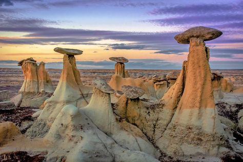 Beautiful Places In America, New Mexico Road Trip, Travel New Mexico, Grand Staircase Escalante, Escalante National Monument, Places In America, New Mexico Usa, Colorado Vacation, Halong Bay