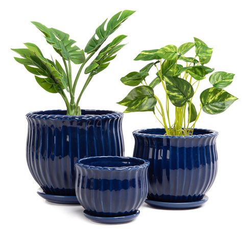 PRICES MAY VARY. Suitable for Various Plants: This set of classical navy blue ceramic planters comes in small to medium sizes and is perfect for displaying your favorite succulents, flowers, cacti, orchids, and more Versatile Usage: This flower pot set is designed to match both indoor and outdoor plants, making it perfect for decorating windowsills, desktops, shelves, bedrooms, living rooms, kitchens, gardens, patios, offices, and more Built-in Drainage System: Our ceramic planters are designed Office Upgrade, Pots Ceramic, Blue Planter, Indoor Flower Pots, Blue Plants, Ceramic Succulent, Drainage System, Garden Indoor, Pot Set