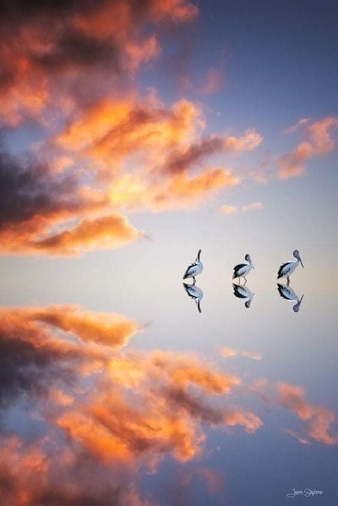 Sky Reflection On Water, Calm Photography, Sky Reflection, Wedding Designers, Image Nature, Sky Landscape, Water Reflections, Summer Getaway, Birds Flying