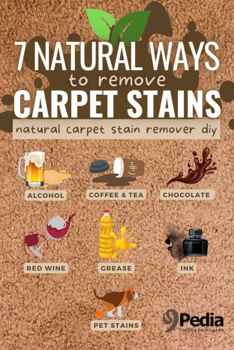 7 Natural Ways to Remove Carpet Stains #carpetcleaning #carpetstains #stainremover #naturalstainremover #carpetwashing Remove Carpet Stains, Diy Carpet Stain Remover, Remove Carpet, Natural Stain Remover, Remove Rust Stains, Stain Remover Carpet, Alternative Living, Natural Carpet, Remove Stains