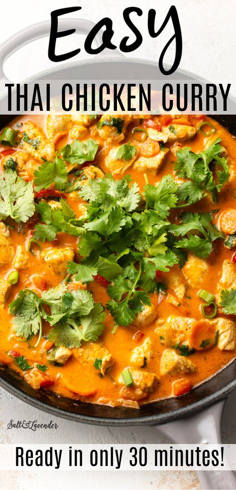 Thai Chicken Curry With Coconut Milk, Easy Thai Chicken, Coconut Curry Chicken Recipes, Thai Chicken Recipes, Red Curry Recipe, Thai Curry Recipes, Thai Chicken Curry, Red Curry Sauce, Curry Recipes Easy