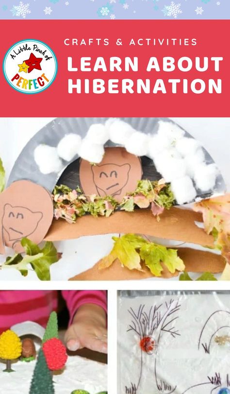 Inviting ways to learn about hibernation for kids Learningho about hibernation and how animals survive the coldest of winters is such a fascinating topic for kids! In this post, we show you how kids can learn about animal hibernation in creative ways. We have printables, crafts, sensory activities and more! Bears And Hibernation Preschool, Hibernation Crafts For Kids, Hibernation Crafts, Hibernation Preschool, Hibernation Activities, Hibernating Animals, Preschool Outdoor Activities, Backyard Nature, Animals That Hibernate