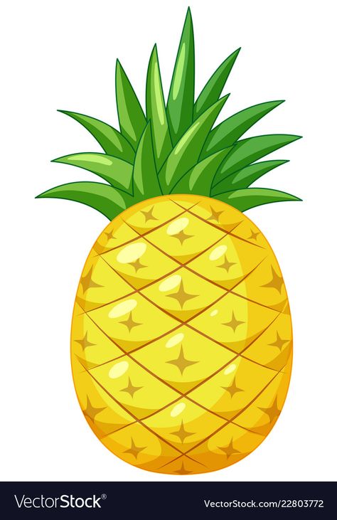 Pineapple Animation, Pineapple Cartoon, Pineapple Pictures, Pineapple Clipart, Cartoon Pineapple, Big Pineapple, Pineapple Illustration, Pineapple Vector