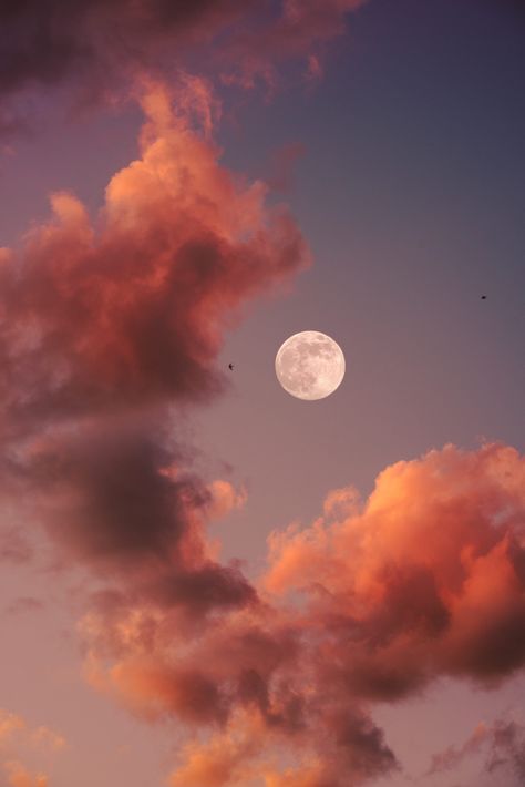 Full Moon Rituals, Moon Rituals, The Full Moon, Pink Clouds, Full Moon, Ritual, The Moon, Moon, Pink