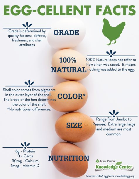 Learn some quick facts about chickens eggs! Facts About Chickens, Agriculture Facts, Egg Facts, Chicken Facts, Farm Facts, Poultry Business, Health Benefits Of Eggs, Chicken Cages, Egg Production