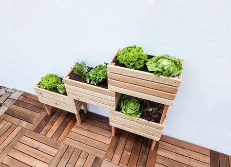 Raised Bed Ideas, Ideas For Balcony, Balcony Planter Boxes, Tall Planter Boxes, Raised Bed Gardens, Bed Inspiration, Raised Garden Planters, Balcony Planters, Wood Garden