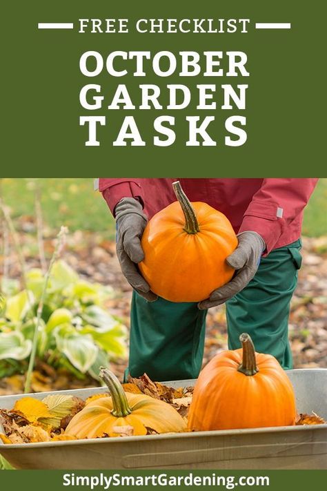 Homesteading Inspiration, Traditional Homemaking, Seasonal Gardening, Planting Schedule, Garden Checklist, Modern Homestead, Fall Gardening, Homestead Life, Modern Homesteading