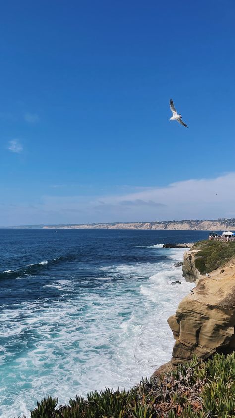 la jolla, san diego, california La Jolla Aesthetic, San Diego California Aesthetic, San Diego Wallpaper, Gemini Princess, California Wallpaper, University Of San Diego, La Jolla San Diego, San Diego City, La Jolla Cove