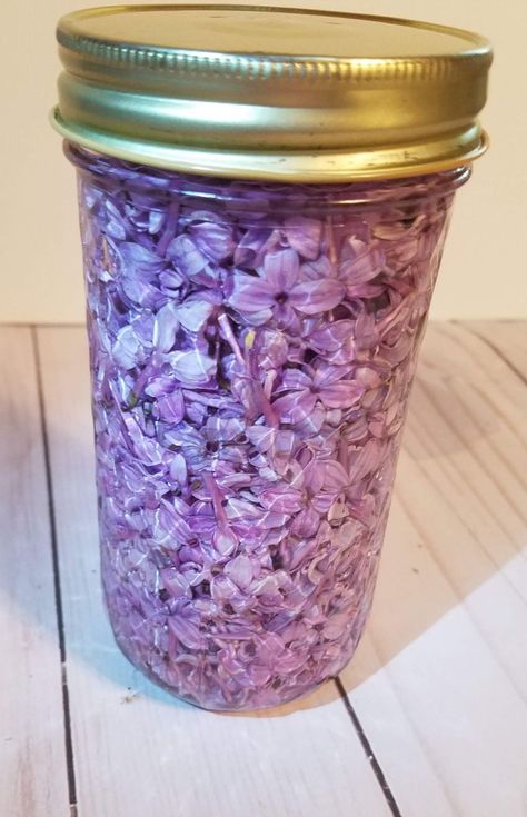 Lilac Infused Vodka, Infusing Alcohol, Lilac Recipes, Lilac Tea, Eating Flowers, Flowers Recipes, Homemade Wine Recipes, Lilac Wine, Floral Food