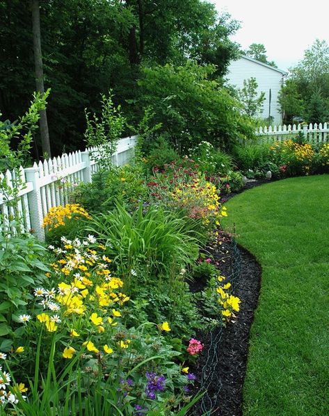 flower planting along fence line | What to do!? I am trying to decide what to plant along my fence line. Shed Inspiration, Privacy Fence Landscaping, Landscaping Along Fence, Landscape Backyard, Backyard Privacy, Backyard Landscape, White Picket Fence, Garden Shrubs, Fence Landscaping