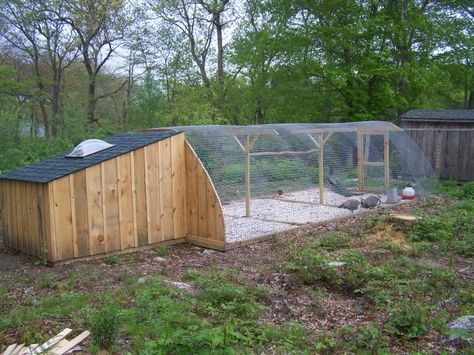 Peacock Coop, Chicken Coop Blueprints, Easy Chicken Coop, Chicken Pen, Coop Design, Best Chicken Coop, Chicken Cages, Coop Plans, Bird Aviary