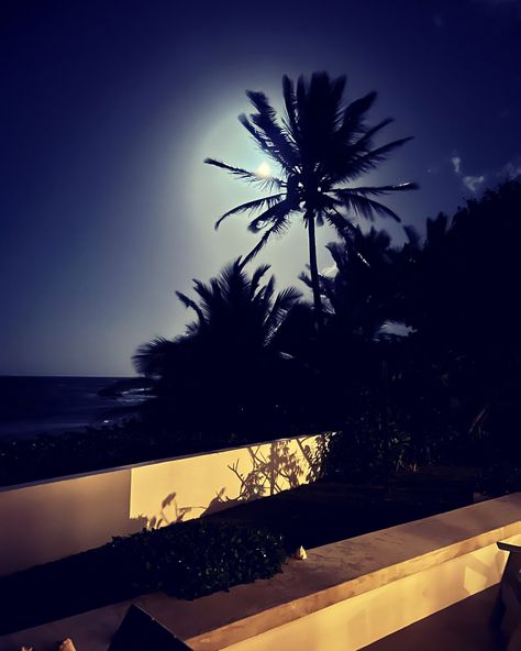 This photograph of a coconut palm backlit by the full moon in Vieques, Puerto Rico can be a small getaway in itself, or a reminder to schedule a much needed vacation. The print on photo paper is not matted or framed so you can make your decisions based on your decor. Coconut Asthetic Picture, Island Asthetic Picture, Vieques Puerto Rico, Life Pics, 2013 Swag Era, Beach Pic, Night Walk, Black Beach, Beach Night