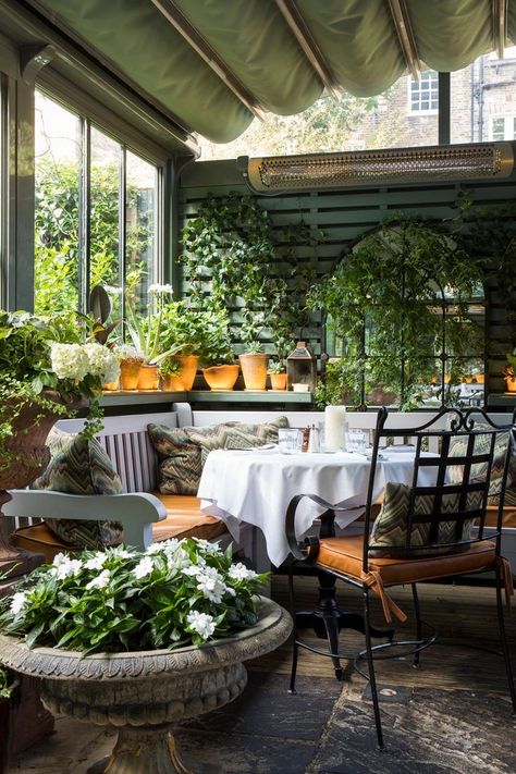 The Ivy Restaurant London, Garden Terrace Ideas, The Ivy Restaurant, Ivy Restaurant, Sophisticated Garden, The Ivy Chelsea, Terrace Ideas, Restaurant In London, Chelsea Garden